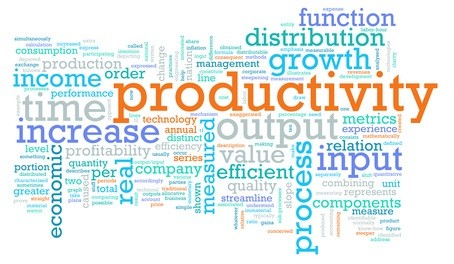 Solving the productivity puzzle