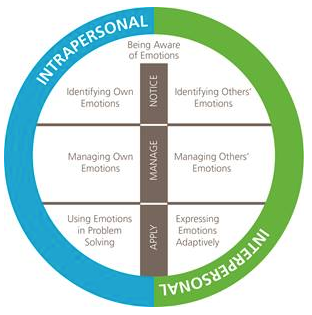 Emotional Judgement Inventory logo